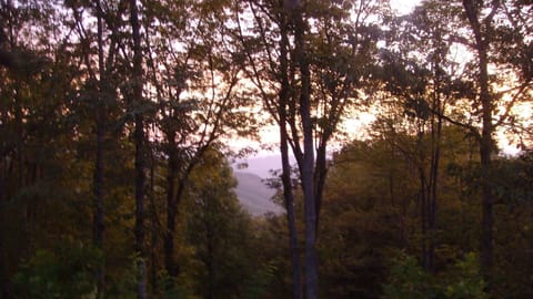 View of Nature Preserve from back of lodge - serene setting for hot tub