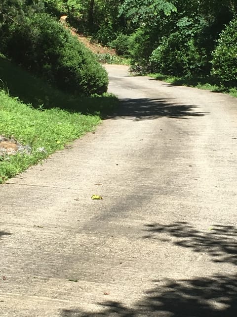 Driveway, it’s steep!