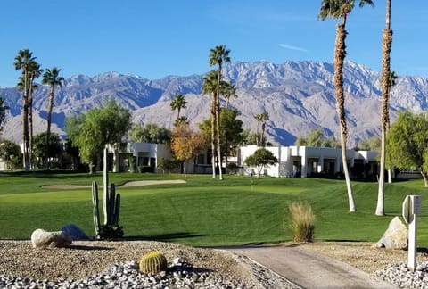 View from patios of Lagos Course #6 green