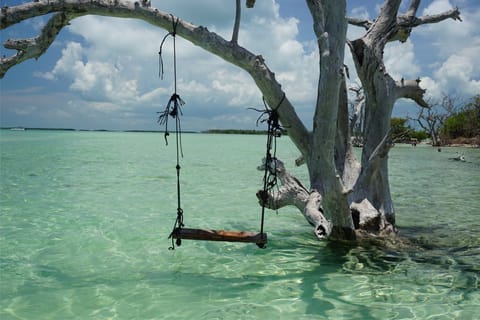 Sandbar Swing