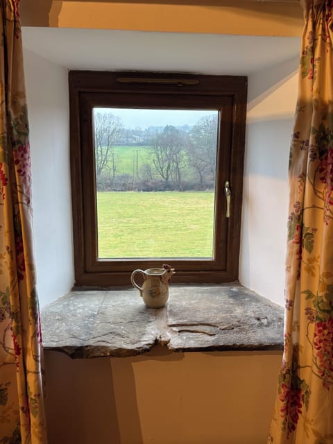 View from Kitchen window