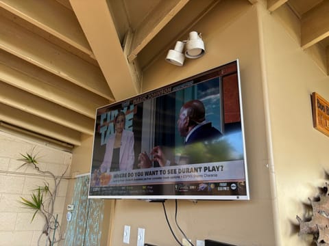 50" Flat Screen....swivel mounted