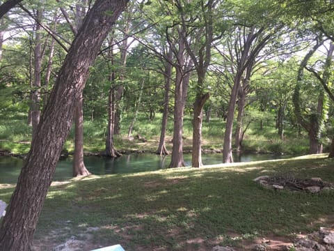 Pets absolutely love the freedom to run and play
