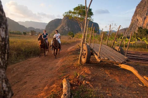 Horseback riding