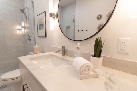 Premium Suite (2) | Bathroom | Shower, free toiletries, hair dryer, towels