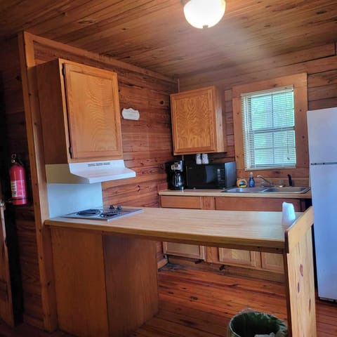 Basic Cabin | Private kitchen | Fridge, microwave, stovetop, coffee/tea maker