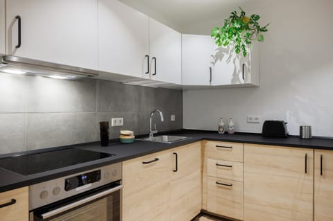 Apartment, 2 Bedrooms | Private kitchen | Full-size fridge, oven, stovetop, dishwasher