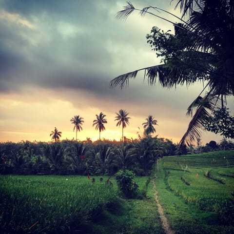 Luxury 5 Bedroom Villa near Balian Beach