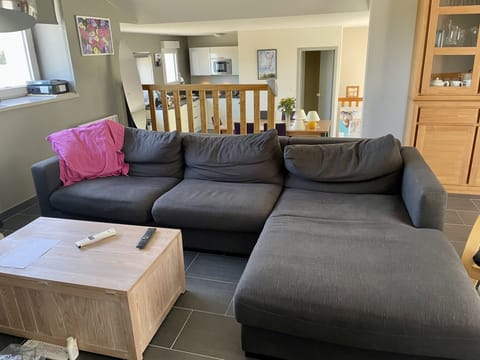 Smart TV, DVD player, books, video library