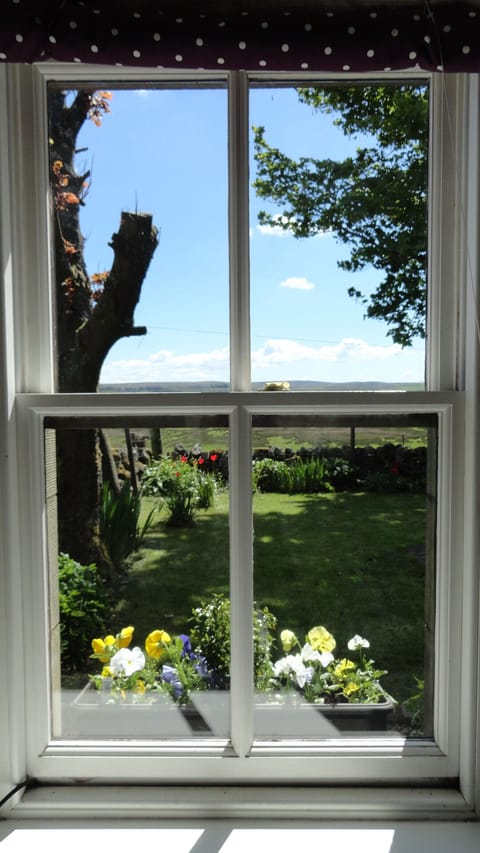 View from Living room to garden
