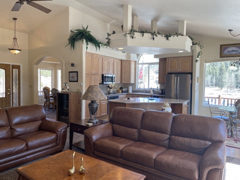 Living Area open to Kitchen