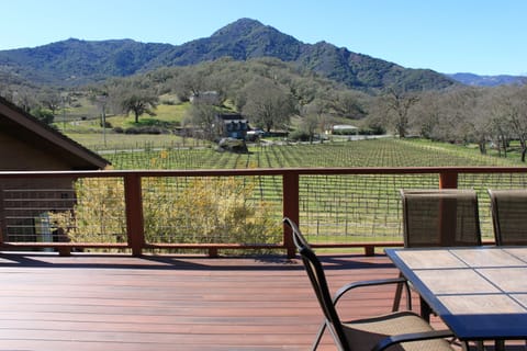 View of Duncan Peak from top deck