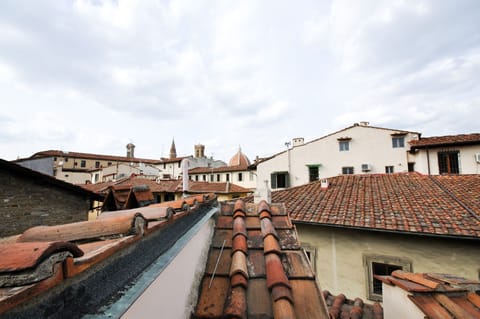 View from the roof