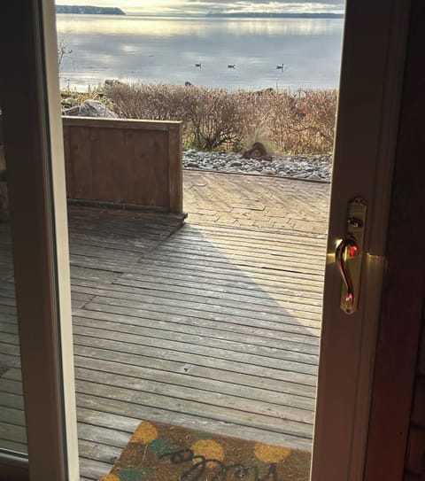 Breakfast with ducks out the front door.