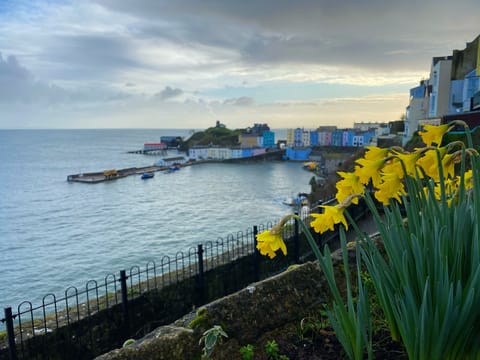 Beautiful nearby Tenby