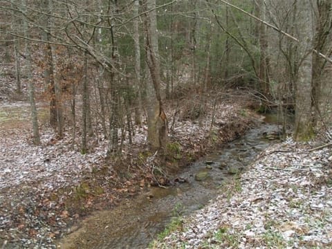 Mountain Stream runs in front of the cabin.. relax listening the sound 