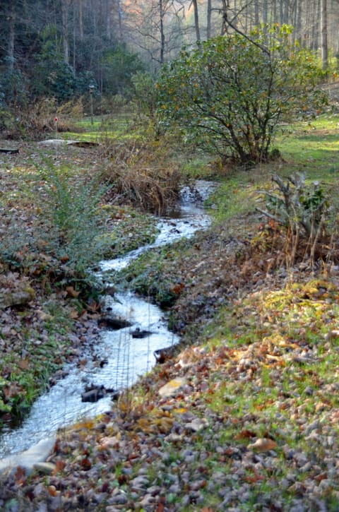The peaceful creek that runs through the prooperty.