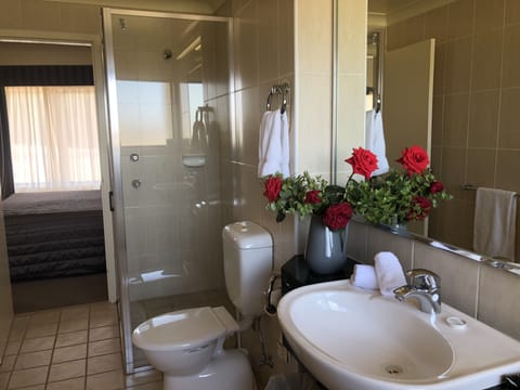 One Bedroom Apartment | Bathroom | Hair dryer, towels