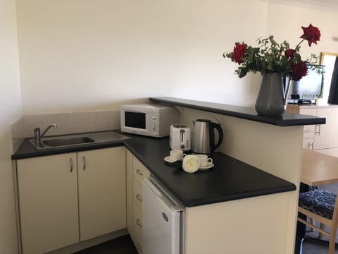 One Bedroom Apartment | Private kitchenette | Fridge, coffee/tea maker, electric kettle