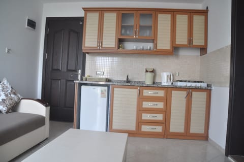 Family Apartment, 1 Bedroom, Balcony | Private kitchenette | Fridge, microwave, stovetop, dishwasher