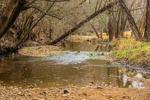 Barons Creek - where our kids LOVE catching tadpoles!