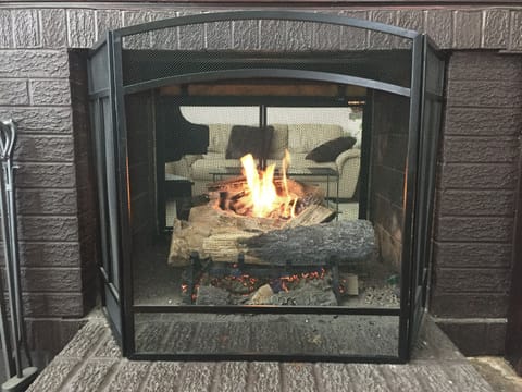 See through fireplace