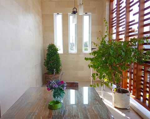 VIP Green Studio Seminyak No.23