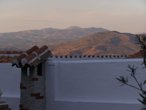 Another View from the Terrace