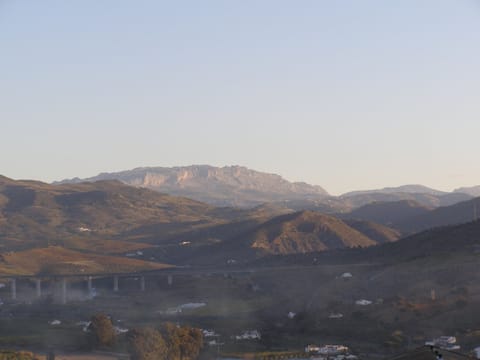 View from the Terrace