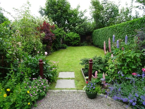 Garden in June.