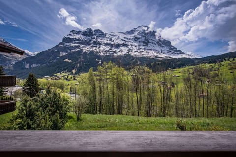 Eiger View
