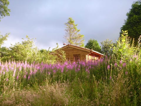 Damson Cabin side view