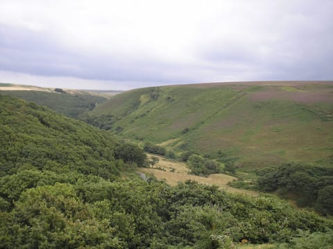 Fantastic local walks and riding