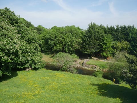 Rear Garden and River