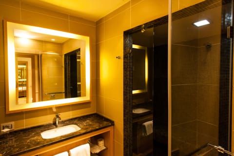 Free toiletries, hair dryer, slippers, bidet