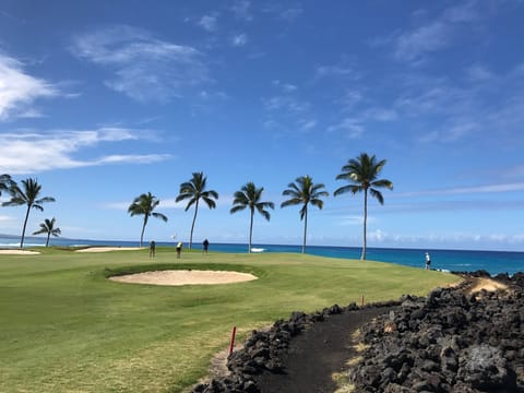 Beach course - What views!
