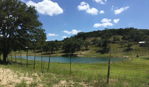 Entrance to property (Papa's Palace is the building on the far left)