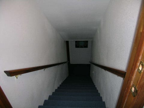 Stairs to Lower Level