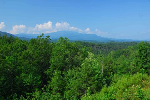 GreSmokLodg_DSC_0014