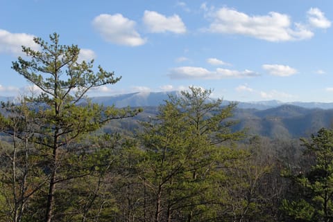 Pigeon Forge Pet Friendly Cabin "Rainbows End" - Mountain Views
