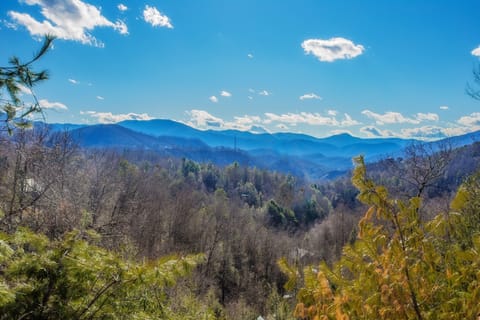 Views of Mt. LeConte and surrounding mountains.