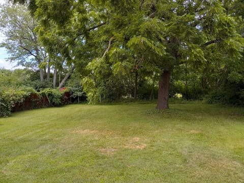 FENCED BACKYARD WITH OAK TREE GREAT FOR FAMILY PICNIC 