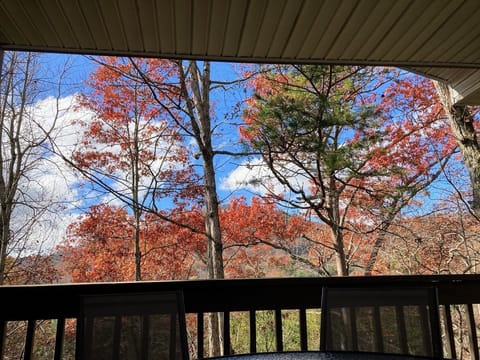 Upper Deck fall view from BBR. 