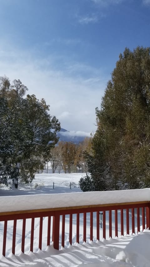 Standard Room, 1 King Bed, Non Smoking | View from room