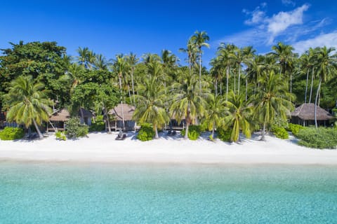 On the beach, snorkeling, beach bar, kayaking