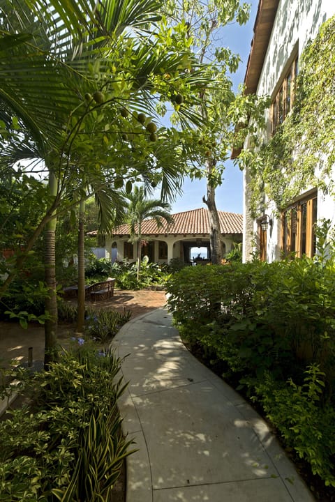 Path from Beach Road