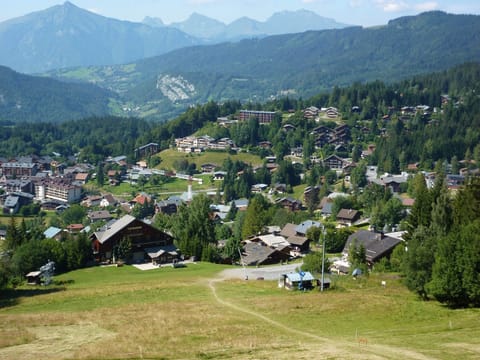 Village from top of Timalet