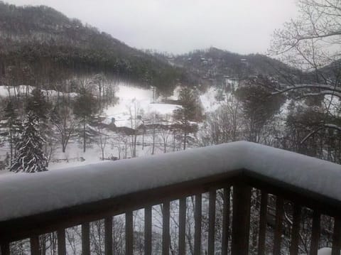 Views from Master Bedroom