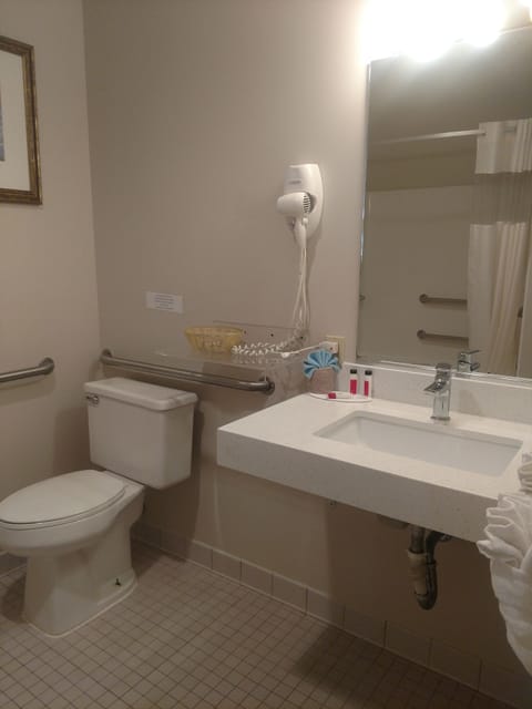 Room, 1 King Bed | Bathroom amenities | Combined shower/tub, free toiletries, hair dryer, towels