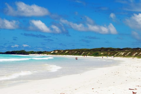 Beach nearby, beach towels